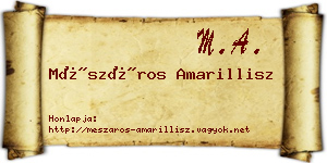 Mészáros Amarillisz névjegykártya